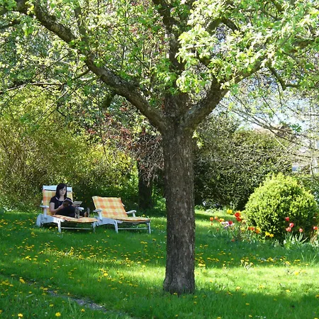 约翰尼特克罗伊茨罗曼蒂克酒店 酒店 4*